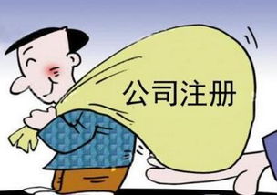 图 朝阳区会计服务 验资评估 北京工商注册